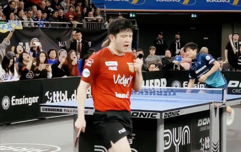 索林为什么怕樊振东继续打德甲了？看完昨日比赛，突然就明白了